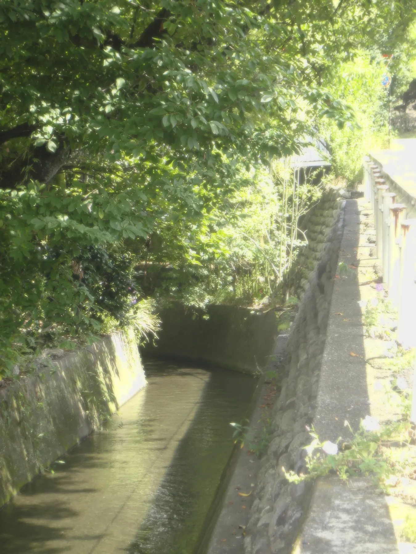 Canal, Kawaguchiko, Japan