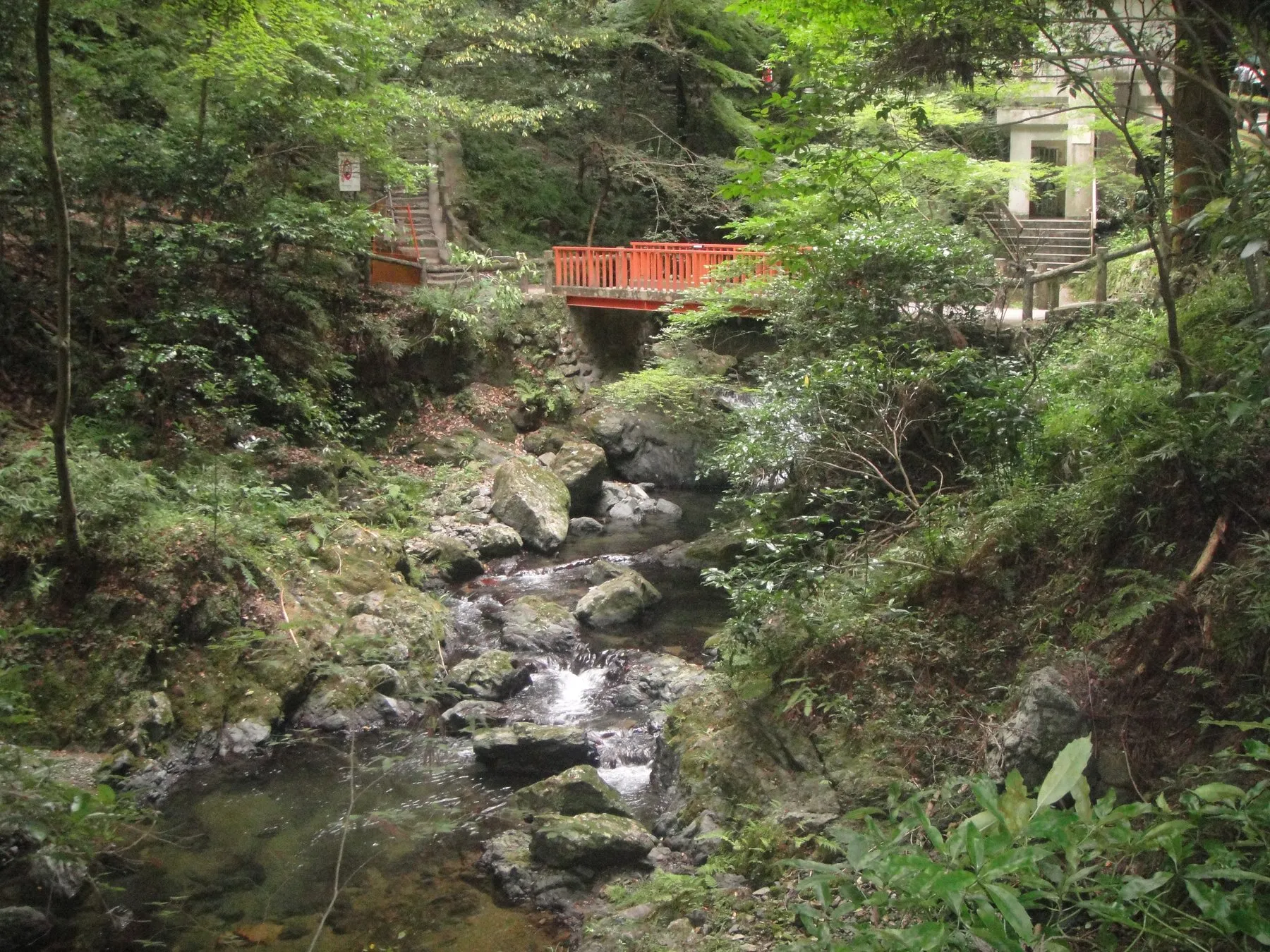 Mountain stream, Japan